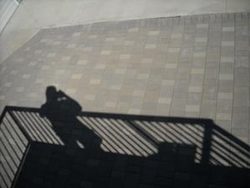 Checkered Brick Patio